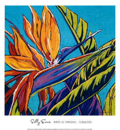 Birds Of Paradise, Turquoise by Sally Evans Pricing Limited Edition Print image