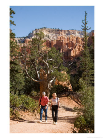 A Couple Walks Along A Path In Bryce Canyon by Taylor S. Kennedy Pricing Limited Edition Print image