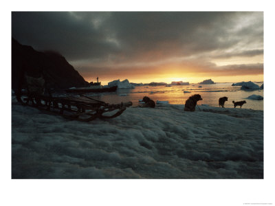 Twilight View Of Sled Dogs And Sled On Shore With Boat In Distance by Bill Curtsinger Pricing Limited Edition Print image