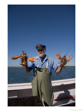 A Fisherman Holds Up Two Large Lobster, Charlottetown, Prince Edward Island, Canada by Taylor S. Kennedy Pricing Limited Edition Print image