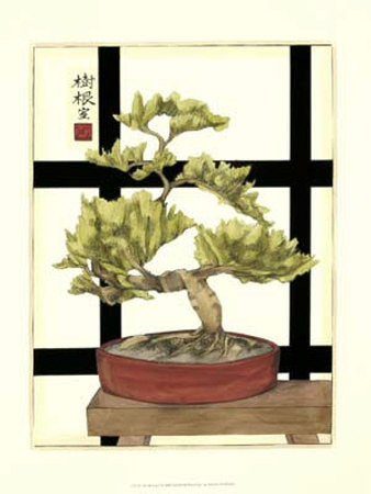 Zen Bonsai I by Jennifer Goldberger Pricing Limited Edition Print image