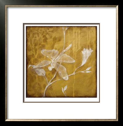 Wings & Damask Iv by Jennifer Goldberger Pricing Limited Edition Print image