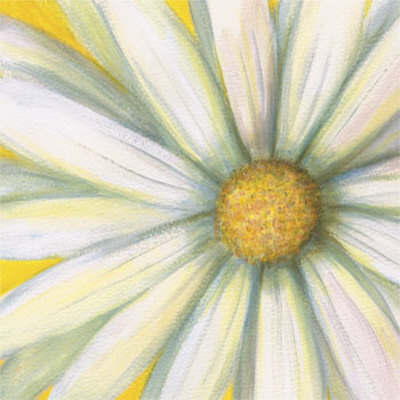 White Daisy by Julio Sierra Pricing Limited Edition Print image