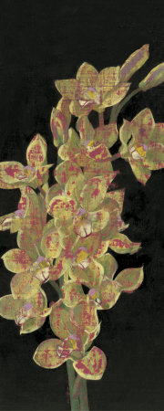 Orchid Ii by Amiryani Pricing Limited Edition Print image