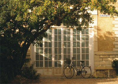 Bicycle Near Lilinita by Francisco Fernandez Pricing Limited Edition Print image