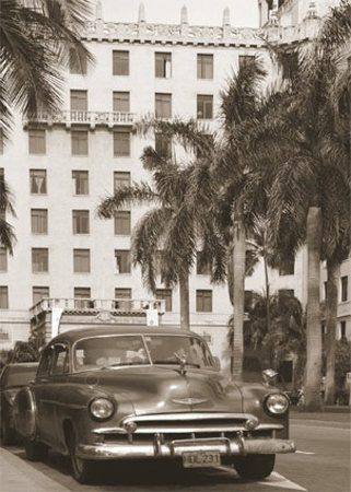 Black Car With Palm Trees by Nelson Figueredo Pricing Limited Edition Print image