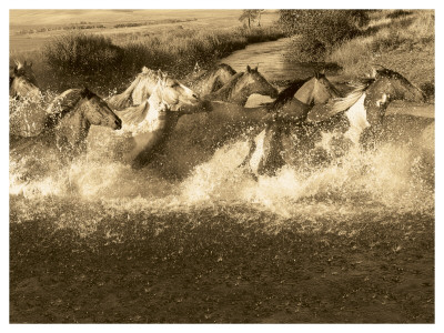 River Run by Robert Dawson Pricing Limited Edition Print image