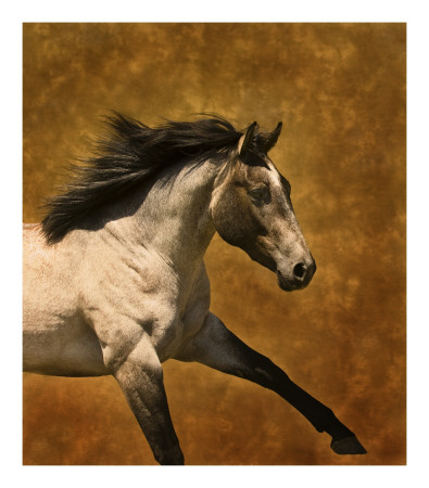 High Stepping by Robert Dawson Pricing Limited Edition Print image