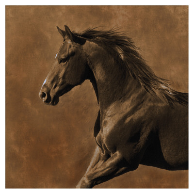 Westward Gallop by Robert Dawson Pricing Limited Edition Print image