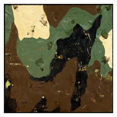 Camo by Aaron Christensen Pricing Limited Edition Print image
