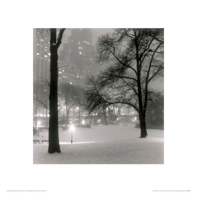 Central Park On A Winter's Night, New York by John Deane Pricing Limited Edition Print image