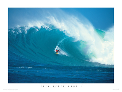 Maui I by Erik Aeder Pricing Limited Edition Print image