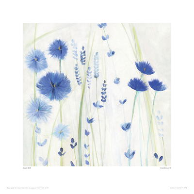 Cornflower Ii by Janet Bell Pricing Limited Edition Print image
