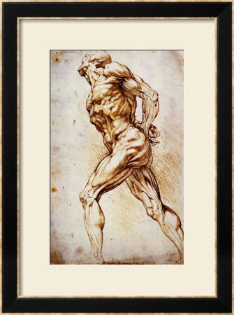 Anatomical Study: A Nude Striding To The Right His Hands Behind His Back by Peter Paul Rubens Pricing Limited Edition Print image