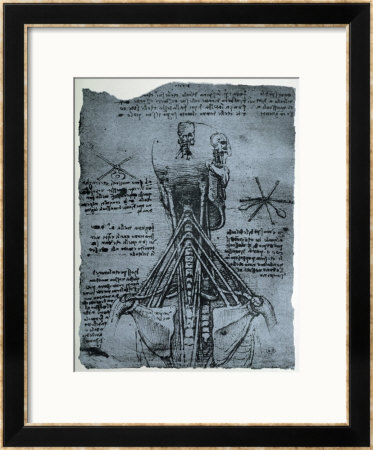Bone Structure Of The Human Neck And Shoulder, Facsimile Copy by Leonardo Da Vinci Pricing Limited Edition Print image
