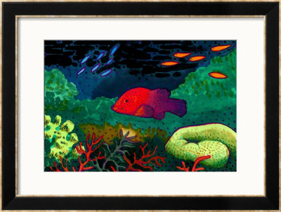 Great Barrier Reef, Australia by John Newcomb Pricing Limited Edition Print image
