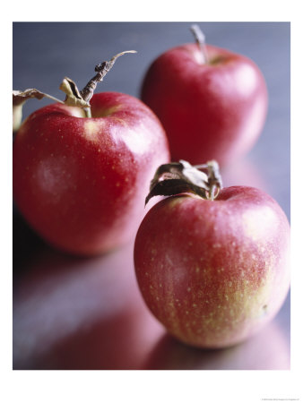 Ripe Apples by Fogstock Llc Pricing Limited Edition Print image