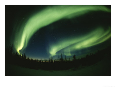 Brilliant Display Of Auroral Lights by Paul Nicklen Pricing Limited Edition Print image