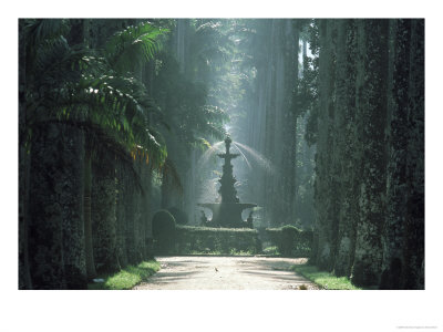 Botanical Garden, Rio De Janeiro, Brazil by Eric Sanford Pricing Limited Edition Print image