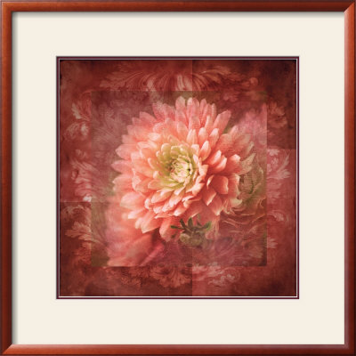 Dahlia Ii by Tom Collicott Pricing Limited Edition Print image