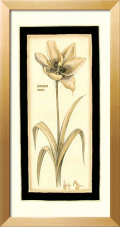 Neutral Tulip Gesture I by Jennifer Goldberger Pricing Limited Edition Print image