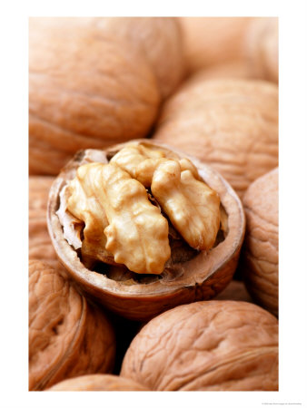 Juglans (Californian Walnut), Close-Up Of Group & Open Nut by Susie Mccaffrey Pricing Limited Edition Print image
