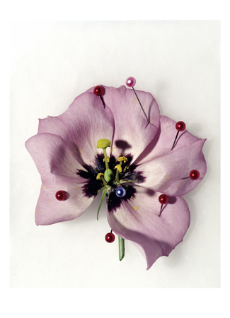 Conde Nast, Trunk Archive by Michael Baumgarten Pricing Limited Edition Print image