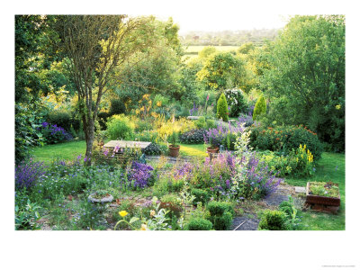 View Into Country Garden With Blue And Pink Colour Plants Summer by Lynn Keddie Pricing Limited Edition Print image
