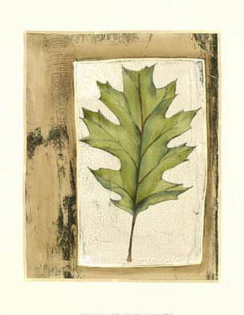Spring Foliage V by Jennifer Goldberger Pricing Limited Edition Print image