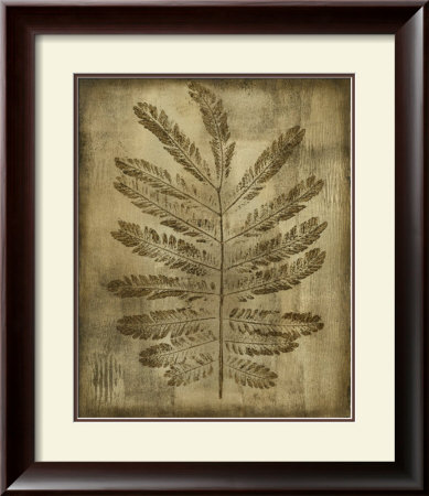 Sepia Drenched Fern I by Nancy Slocum Pricing Limited Edition Print image