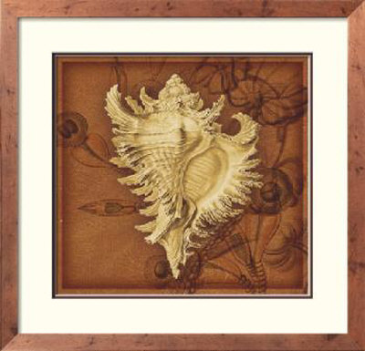 Conch by Lisa Steinkamp Pricing Limited Edition Print image