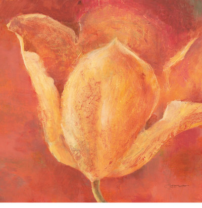 Brilliant Tulip by Annie Saint Leger Pricing Limited Edition Print image