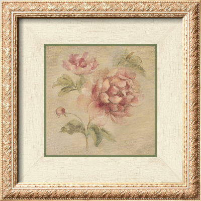 Coral Rose On Antique Linen by Cheri Blum Pricing Limited Edition Print image
