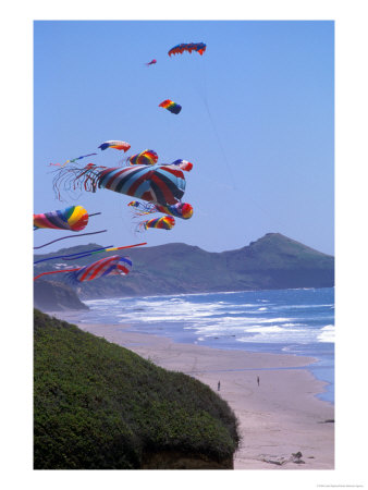 Kites Flying On The Oregon Coast, Usa by Janis Miglavs Pricing Limited Edition Print image