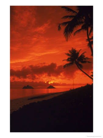 Sunrise, Lanikai Oahu, Hawaii by Cheyenne Rouse Pricing Limited Edition Print image