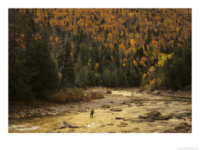 Fly-Fisherman Lays Out A Perfect Cast In Search Of Atlantic Salmon by Paul Nicklen Pricing Limited Edition Print image