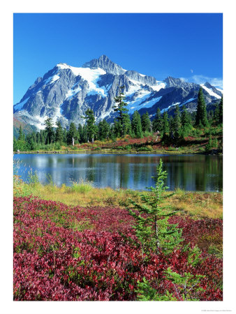 Mt. Shuksan And Picture Lake, Washington by Mark Windom Pricing Limited Edition Print image