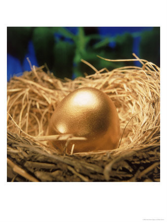 Golden Egg In A Nest by William Swartz Pricing Limited Edition Print image