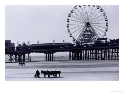 Pier And Donkey Rides, Blackpool, England by Walter Bibikow Pricing Limited Edition Print image