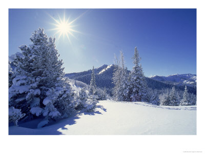 Sunlight On Fresh Snow, Wasatch Mt. Range, Ut by Kyle Krause Pricing Limited Edition Print image