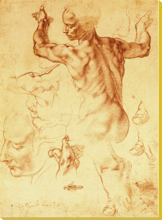 Anatomy Sketches (Libyan Sibyl) by Michelangelo Buonarroti Pricing Limited Edition Print image