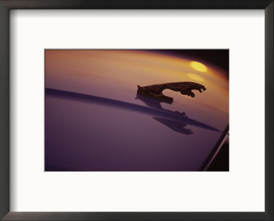 Hood Ornament Of Jaguar With Light Reflection by Doug Mazell Pricing Limited Edition Print image