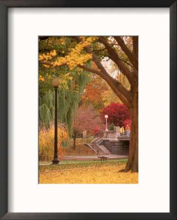 Public Gardens In Autumn, Boston, Ma by James Lemass Pricing Limited Edition Print image