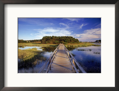 Uncle Tim's Bridge, Wellfleet, Cape Cod, Ma by Jeff Greenberg Pricing Limited Edition Print image