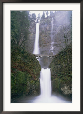 A Bridge Over A Portion Of Multnomah Falls In Oregon by Paul Nicklen Pricing Limited Edition Print image