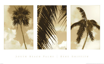 South Beach Palms by Rene Griffith Pricing Limited Edition Print image