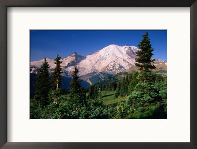 Mt. Rainier And Emmons Glacier From The Sunrise Area Of Mt. Rainier National Park by John Elk Iii Pricing Limited Edition Print image