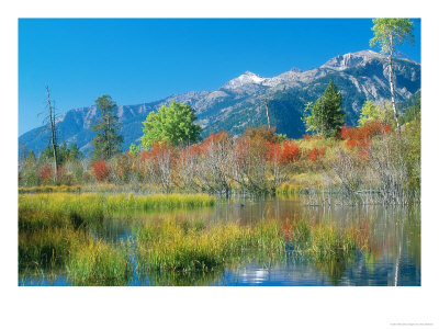 Autumn Pond Scene, Usa by Stan Osolinski Pricing Limited Edition Print image