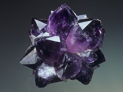 Amethyst Crystals (Sio2) by Mark Schneider Pricing Limited Edition Print image