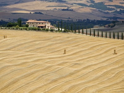 Italy, Tuscany, Harvested Corn Field, Farmstead In Background by Fotofeeling Pricing Limited Edition Print image